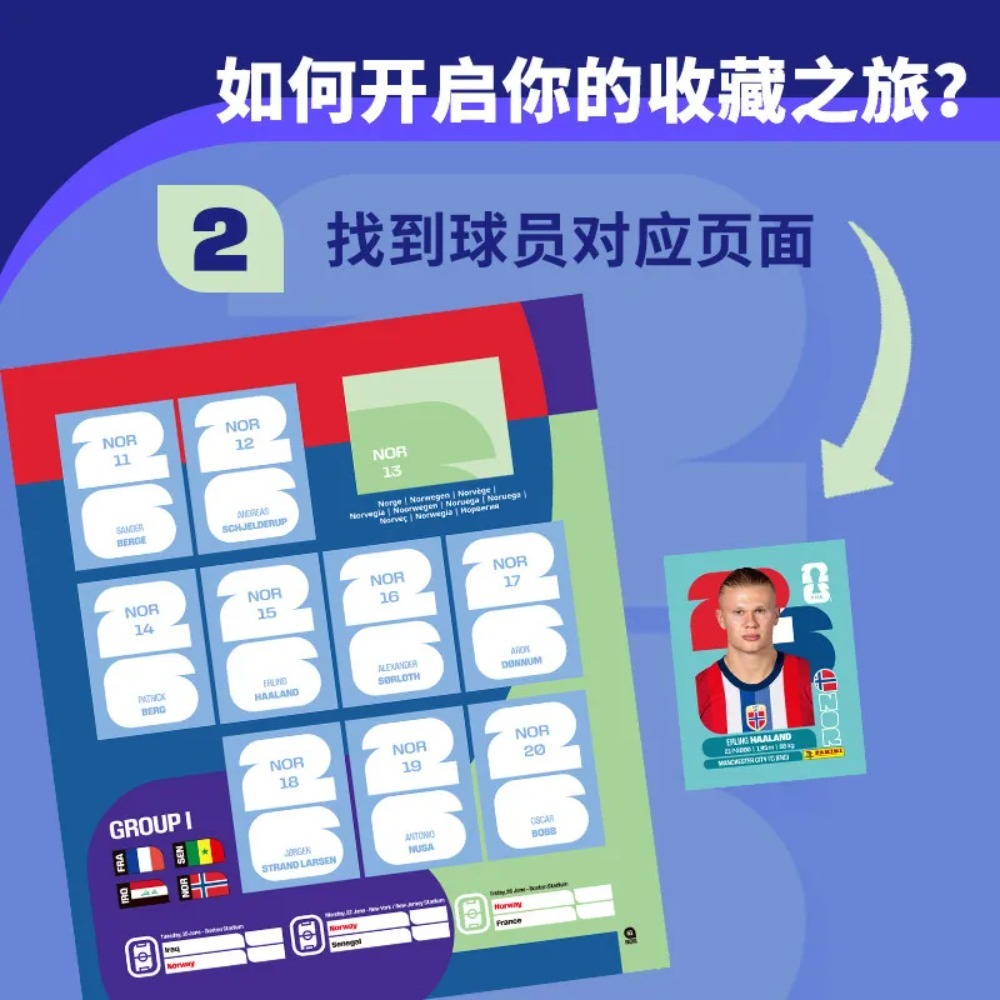 Coleção de Adesivos Panini 202 - Sticker Sheet Set avaliação e preço